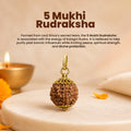 Authentic 5 Mukhi Rudraksha – Peace, Protection & Spiritual Growth