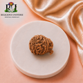 Ganesh Mukhi Rudraksha Original Nepali  – Lab Certified Natural Sacred Bead for Wisdom, Prosperity & Obstacle Remova