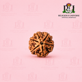 6 Mukhi Rudraksha Bead Lab Certified  for Strength, Confidence & Focus | Original Nepali Rudraksha