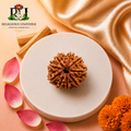 9 Mukhi Rudraksha – Natural & Lab Certified Nepali Rudraksha Bead for Strength, Protection & Spiritual Growth