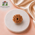 Original Nepali 11 Mukhi Rudraksha Original Nepali  – Lab Certified Natural Sacred Bead for Courage, Protection & Spiritual Power