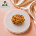 14 Mukhi Rudraksha Original Nepali  – Lab Certified Natural Sacred Bead for Intuition, Protection & Spiritual Awakening