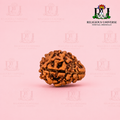 3 Mukhi Rudraksha Lab Certified  – Original Natural Nepali Rudraksh for Confidence, Positivity & Spiritual Growth